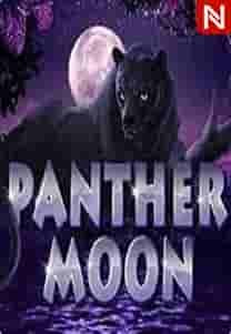 Panther Moon